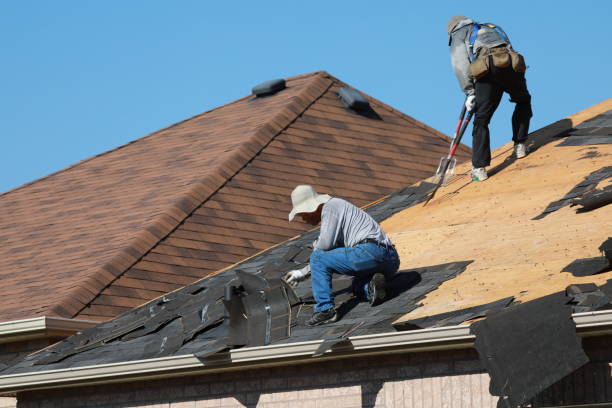 Best Roof Insulation Installation  in Henderson, TX